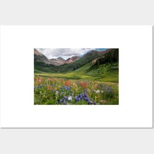 Alpine flowers in Rustler's Gulch, USA (C006/5999) Posters and Art